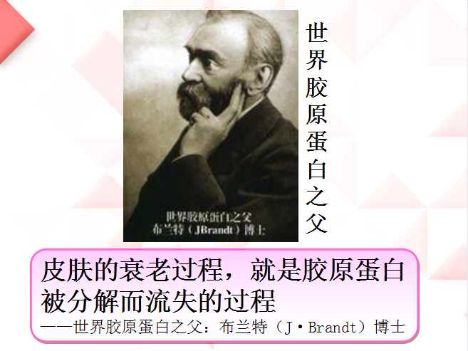 胶原蛋白加工饮品