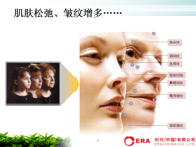 胶原蛋白加工饮品组成部分